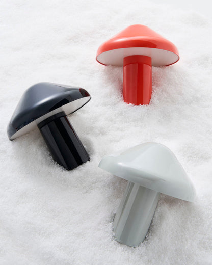 Kesique Portable Table Lamp (built-in battery)