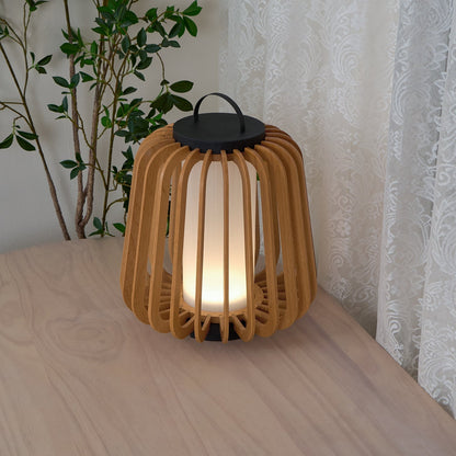 Wynune Lantern Outdoor Light