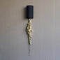 Fusion Wall Sconce