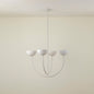 Marien Chandelier