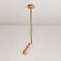 Fenex Surface Mount Ceiling Lamp