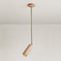 Fenex Surface Mount Ceiling Lamp