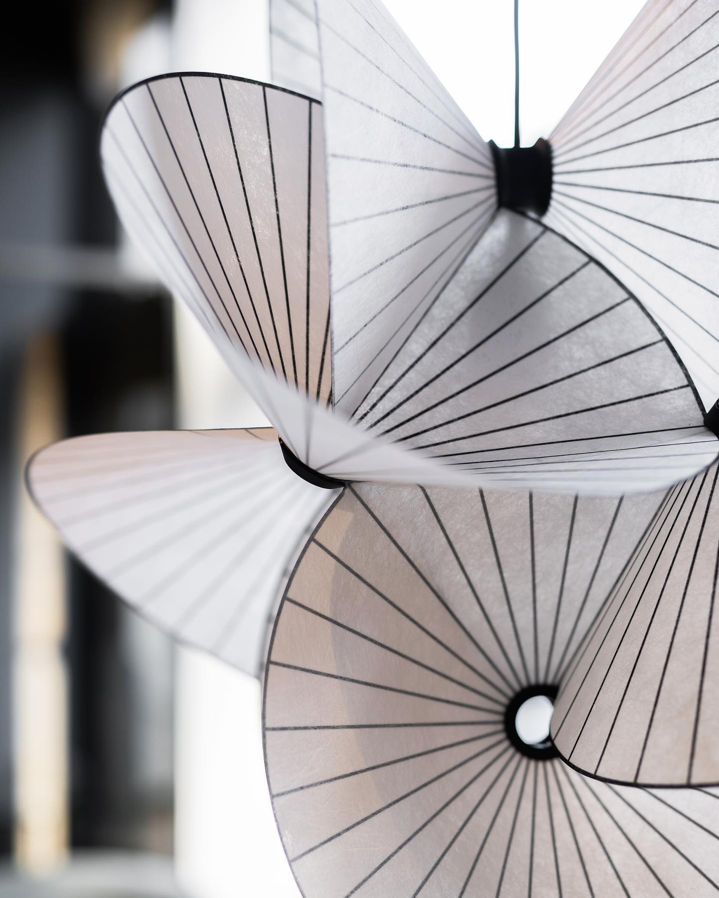 Dorique Pendant Light
