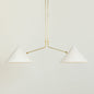 Slide 2 Arm Pendant Lamp