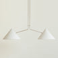 Slide 2 Arm Pendant Lamp