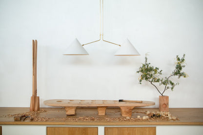 Slide 2 Arm Pendant Lamp