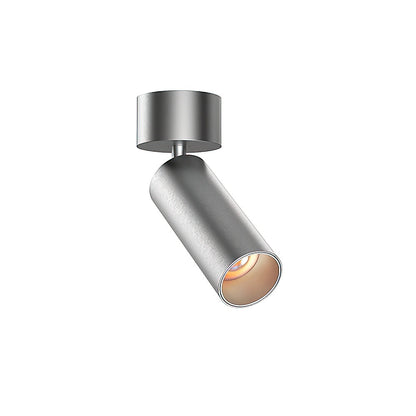 Stanly Ceiling Spotlight Lamp