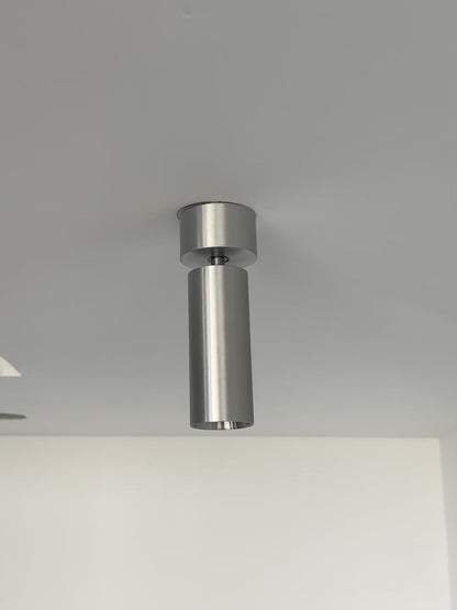 Stanly Ceiling Spotlight Lamp