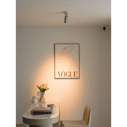 Stanly Ceiling Spotlight Lamp