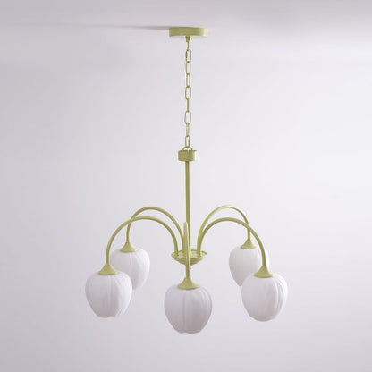 Tulip Matcha Chandelier