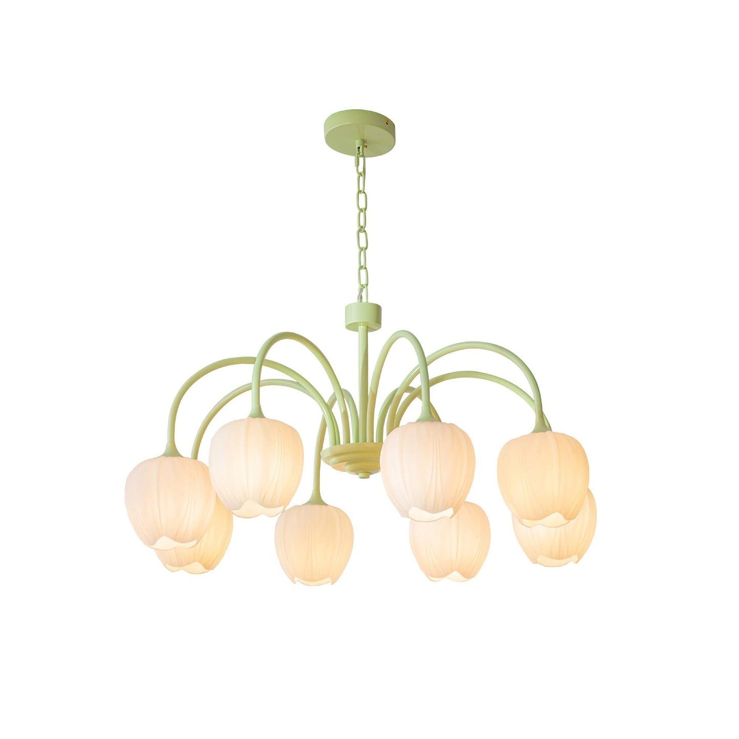 Tulip Matcha Chandelier